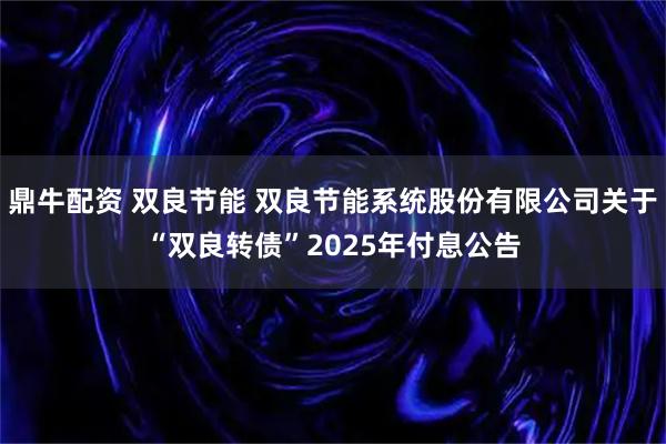 鼎牛配资 双良节能 双良节能系统股份有限公司关于“双良转债”2025年付息公告