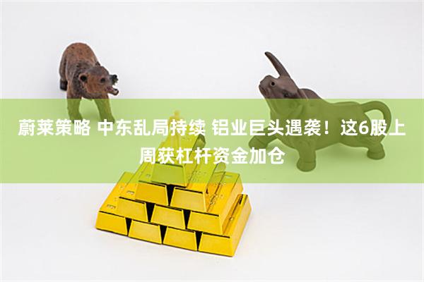 蔚莱策略 中东乱局持续 铝业巨头遇袭！这6股上周获杠杆资金加仓
