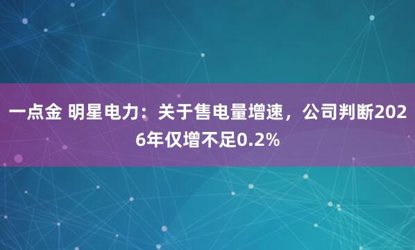 一点金 明星电力：关于售电量增速，公司判断2026年仅增不足0.2%